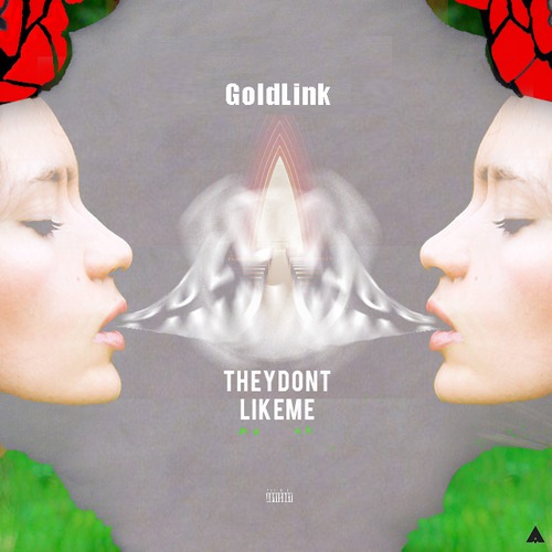 GoldLink ~ They Don't Like Me [Prod. by xskywlkr]
