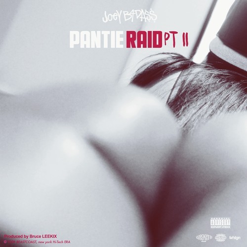Joey Bada$$ ~ Pantie Raid Pt. II [Prod. by Bruce Leekix]