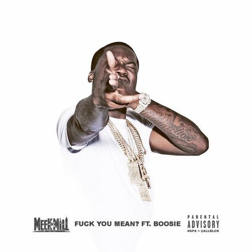 Meek Mill ~ Fuck You Mean (Feat. Boosie)