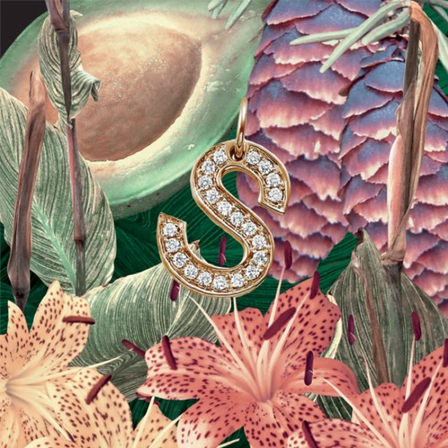 SZA ~ S EP